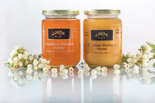 Load image into Gallery viewer, RJT Blueberry Blossom Honey