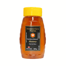 Load image into Gallery viewer, Squeeze Bottled Honey-500g