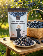 Load image into Gallery viewer, RJT Freeze Dried Blueberries