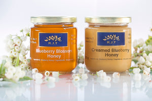 RJT Blueberry Blossom Honey